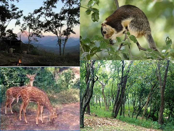 Chinnar Wildlife Sanctuary